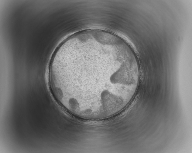 X0000101451040200807280935