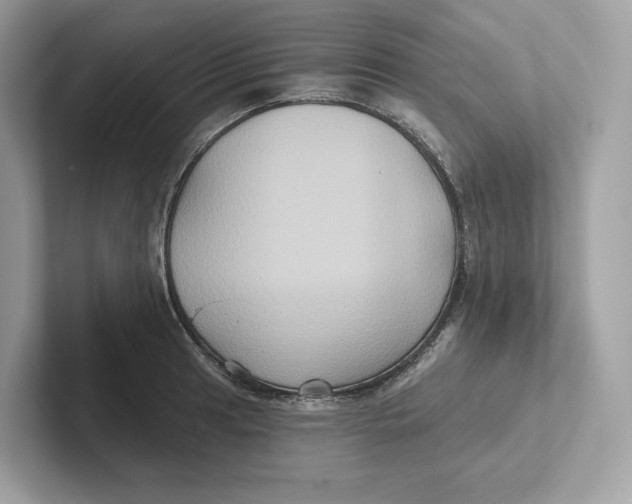 X0000101451041200807280935