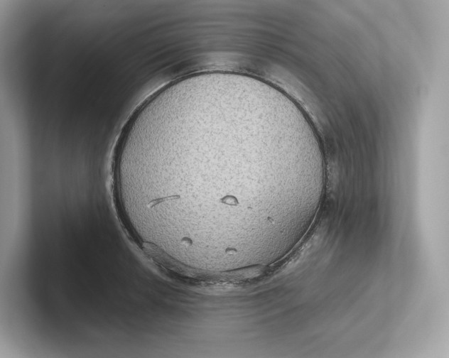 X0000101451042200807280935