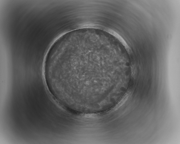 X0000101451043200807280935