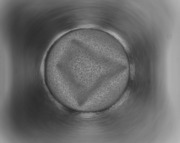 X0000101451046200807280935