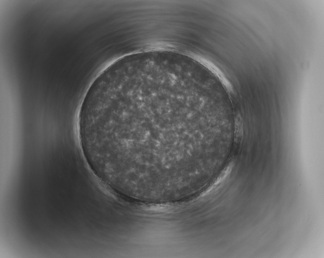 X0000101451047200807280935