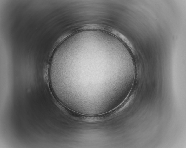 X0000101451049200807280935