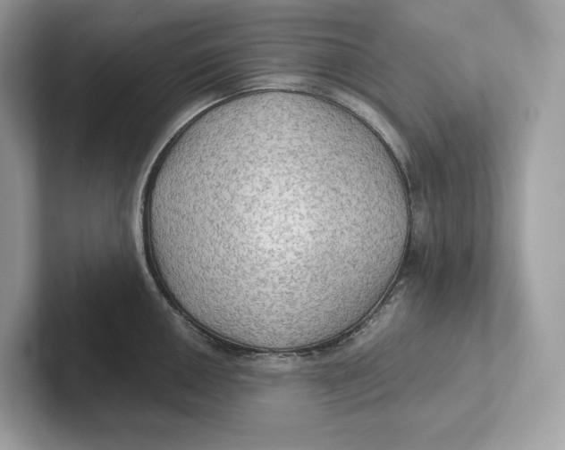 X0000101451050200807280935