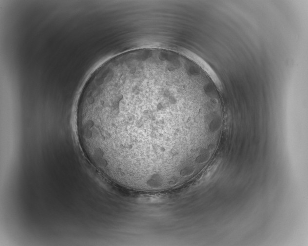 X0000101451051200807280935