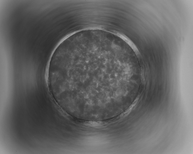 X0000101451052200807280935