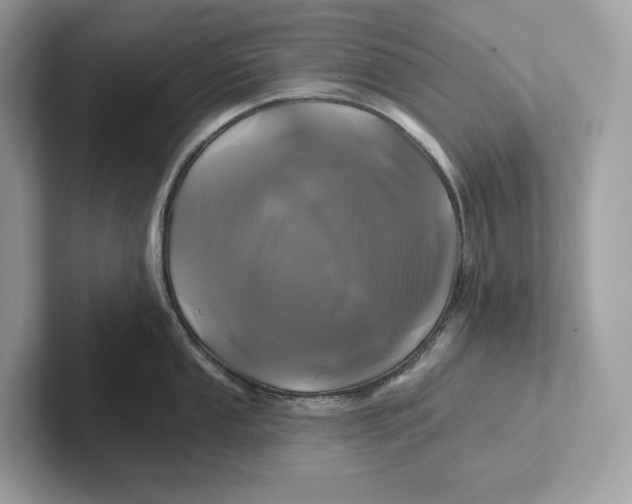 X0000101451053200807280935