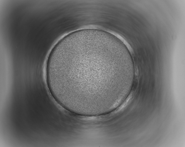 X0000101451054200807280935