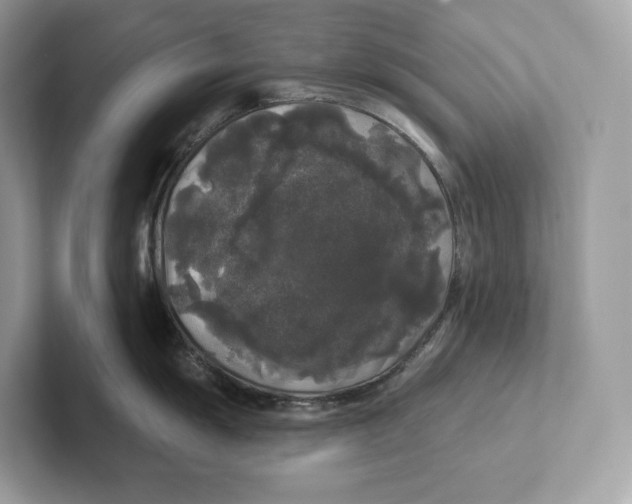 X0000101451055200807280935