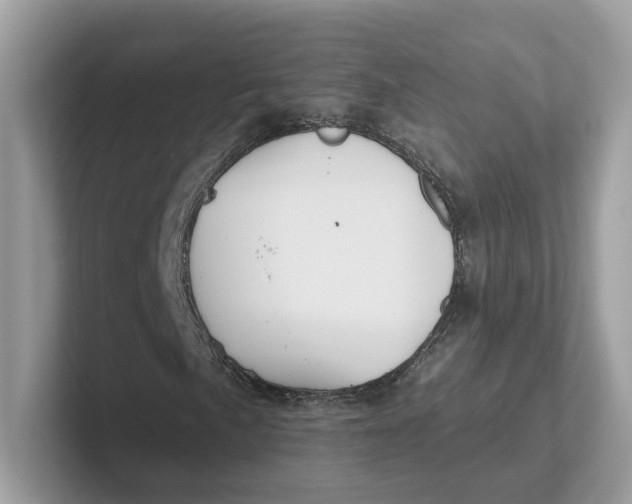 X0000101451057200807280935