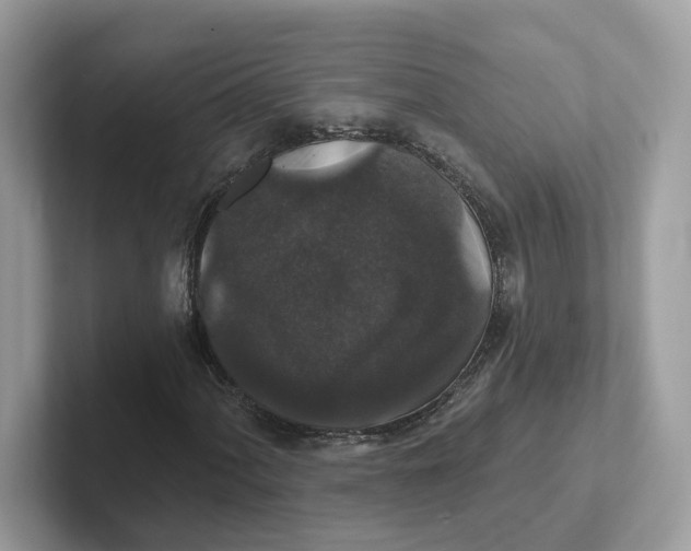 X0000101451060200807280935