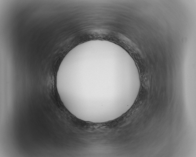 X0000101451061200807280935