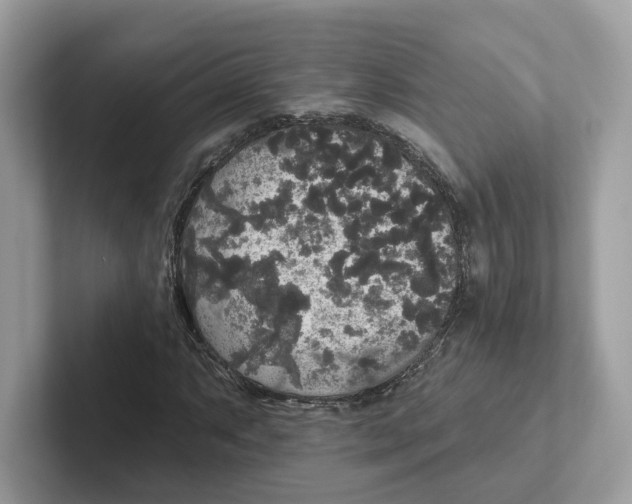 X0000101451063200807280935