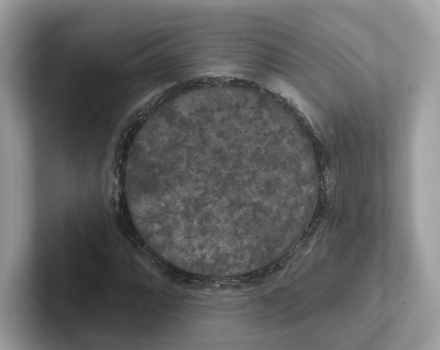 X0000101451064200807280935