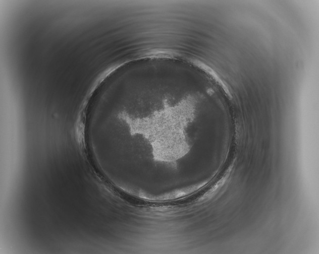 X0000101451066200807280935