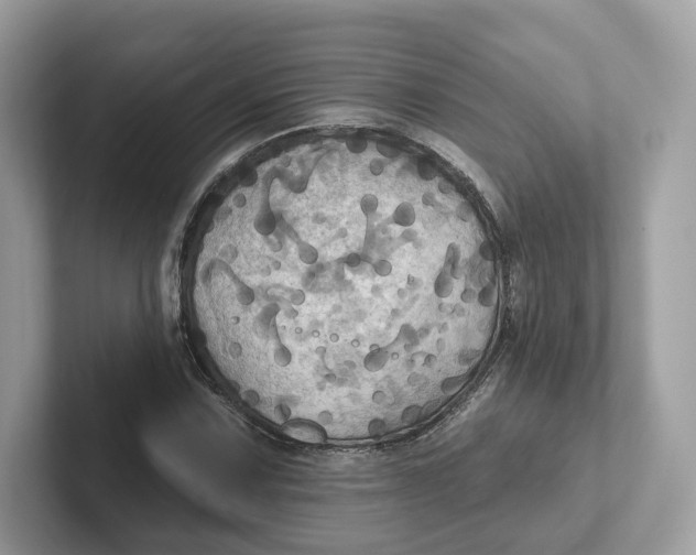 X0000101451067200807280935