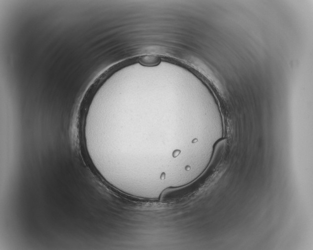 X0000101451068200807280935