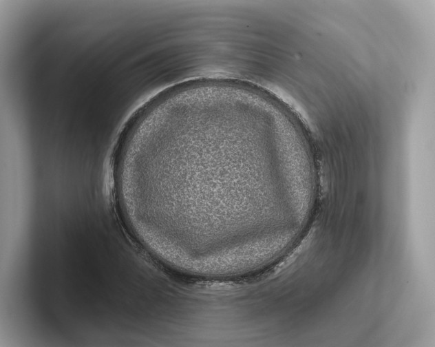 X0000101451070200807280935