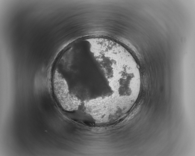 X0000101451071200807280935