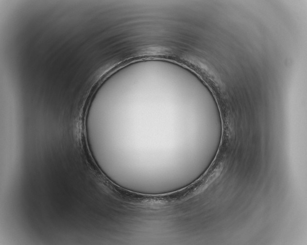 X0000101451073200807280935