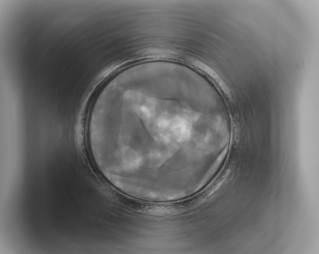 X0000101451074200807280935