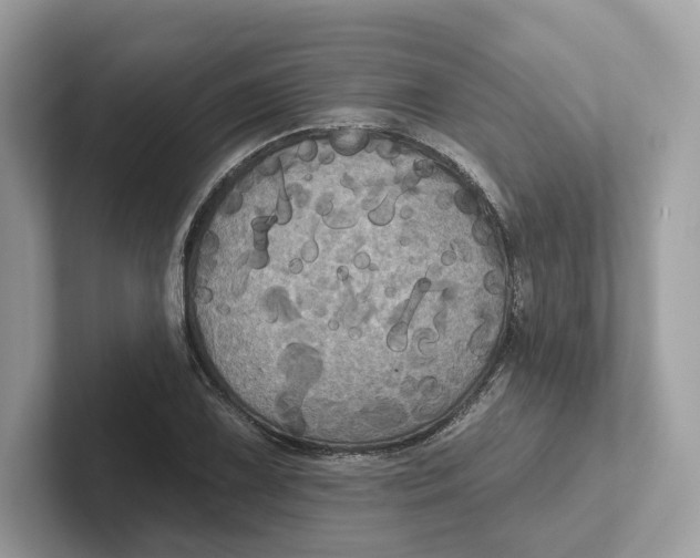 X0000101451075200807280935