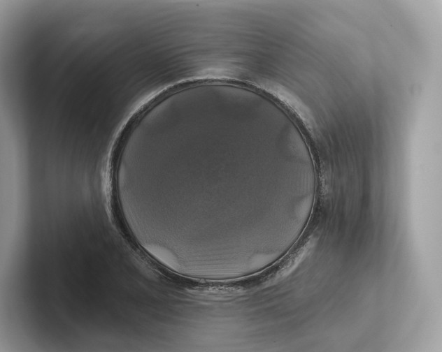 X0000101451077200807280935