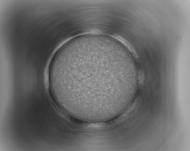 X0000101451078200807280935