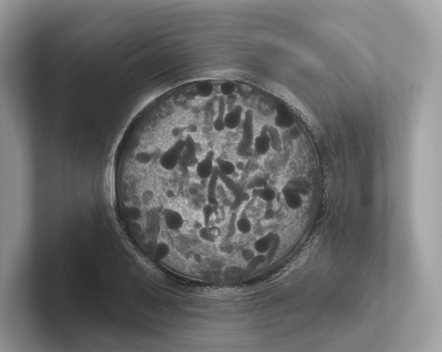 X0000101451079200807280934