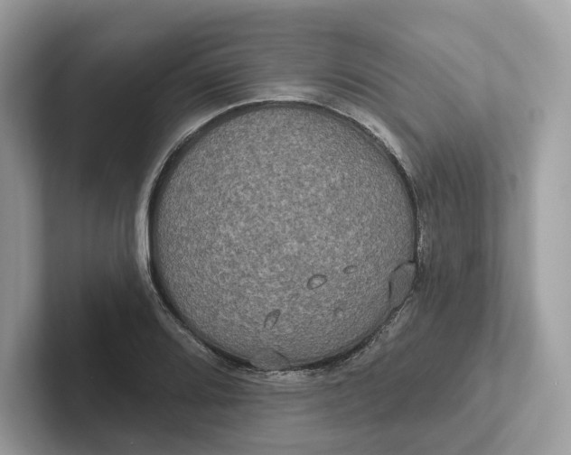 X0000101451080200807280934