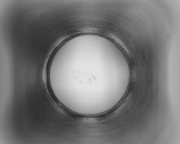 X0000101451082200807280934