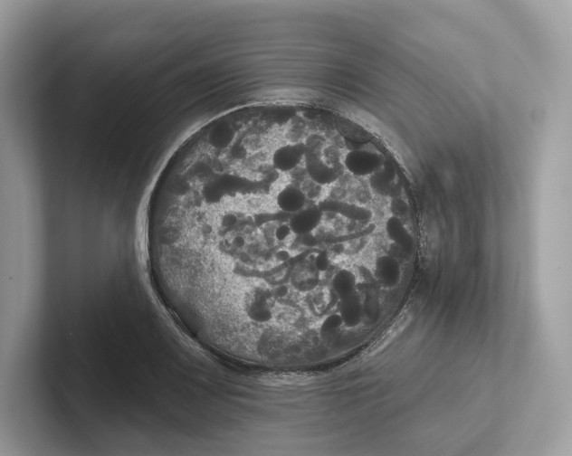 X0000101451083200807280934