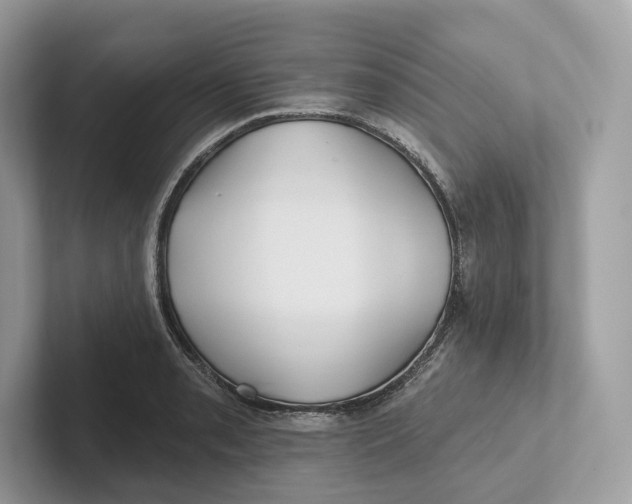 X0000101451085200807280934