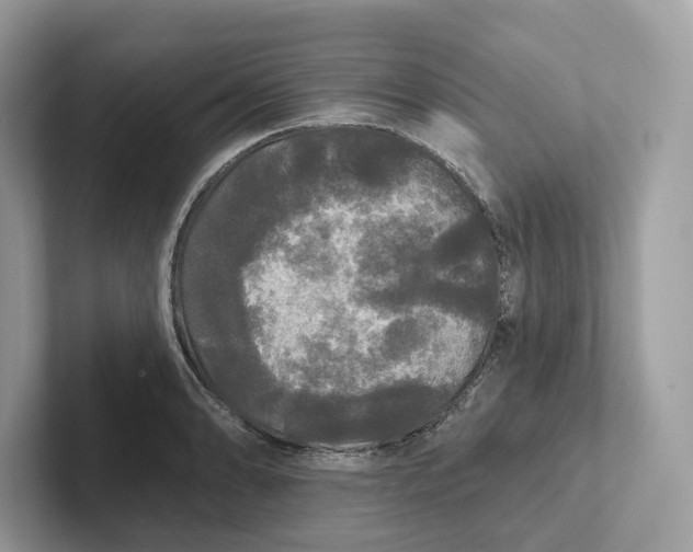 X0000101451086200807280934