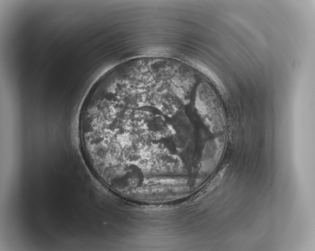 X0000101451087200807280934