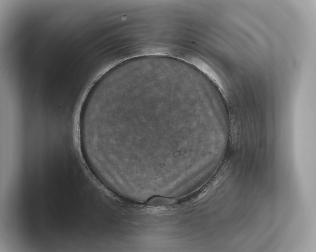 X0000101451088200807280934