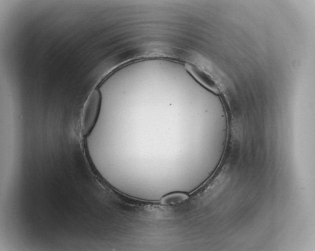 X0000101451089200807280934