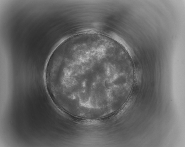 X0000101451090200807280934