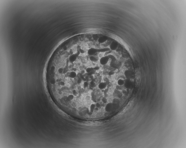 X0000101451091200807280934