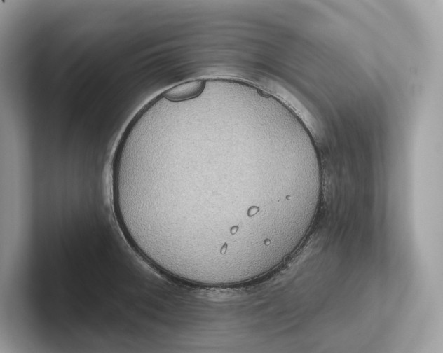 X0000101451092200807280934