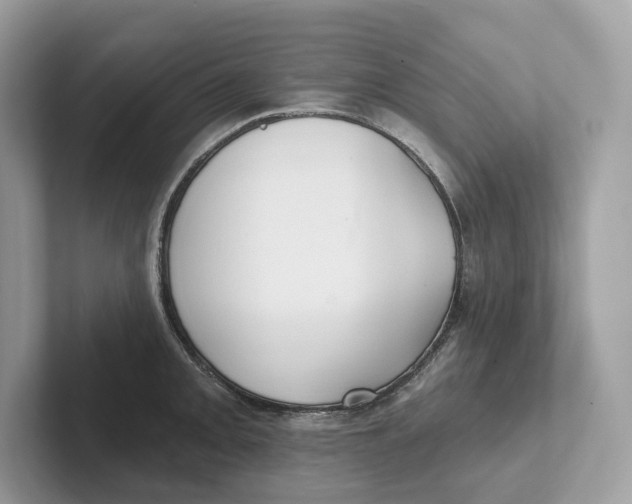 X0000101451093200807280934