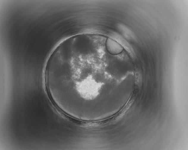 X0000101451094200807280934