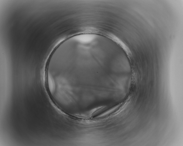 X0000101451095200807280934