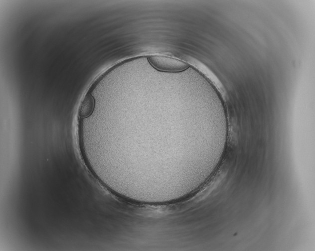 X0000101451096200807280934