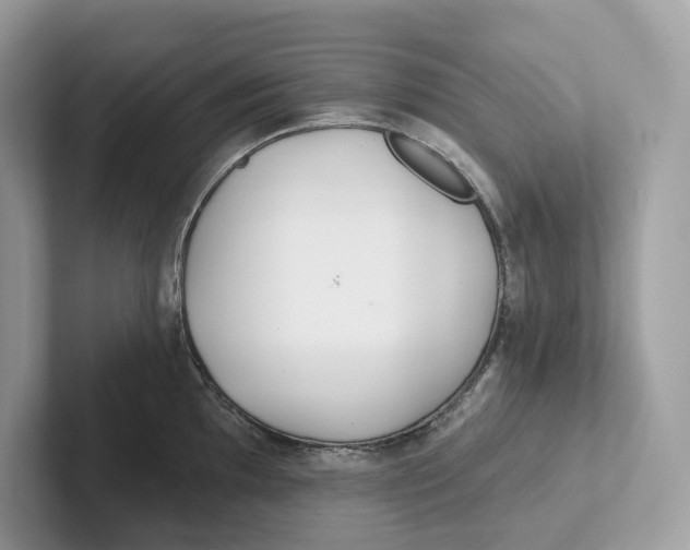 X0000101451097200807280934