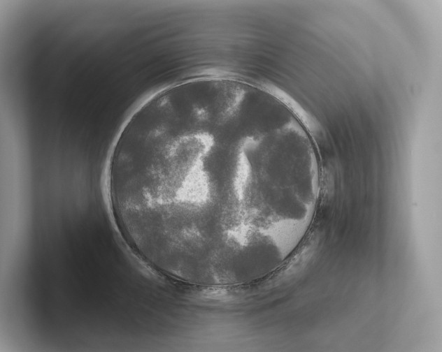 X0000101451098200807280934