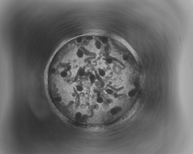 X0000101451099200807280934