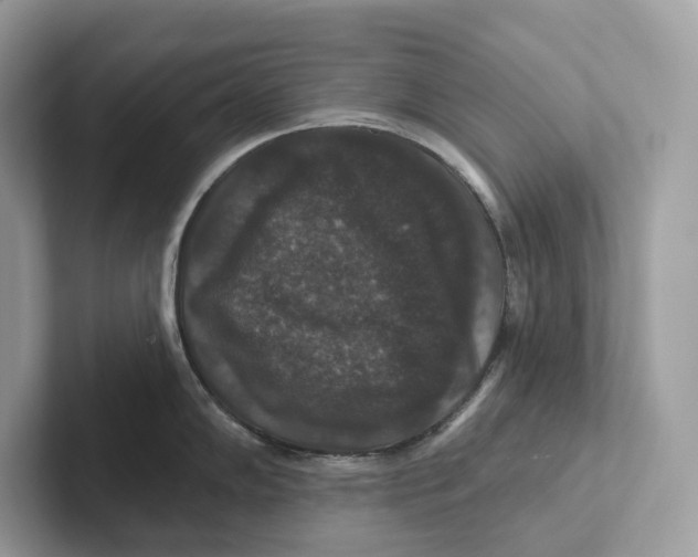 X0000101451102200807280934