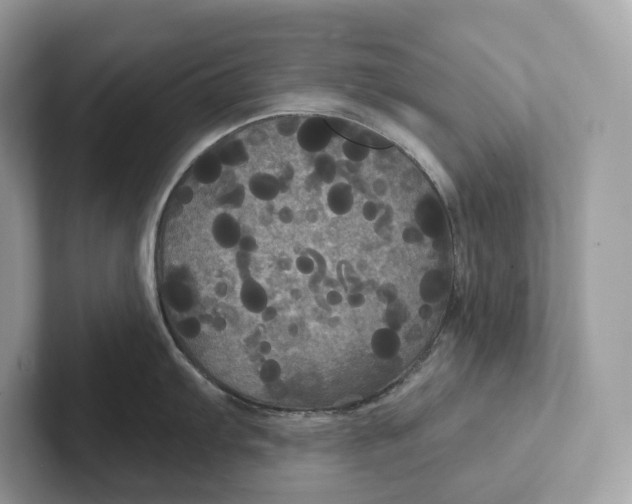 X0000101451103200807280934