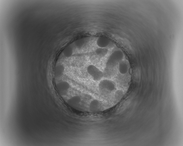 X0000101451105200807280934